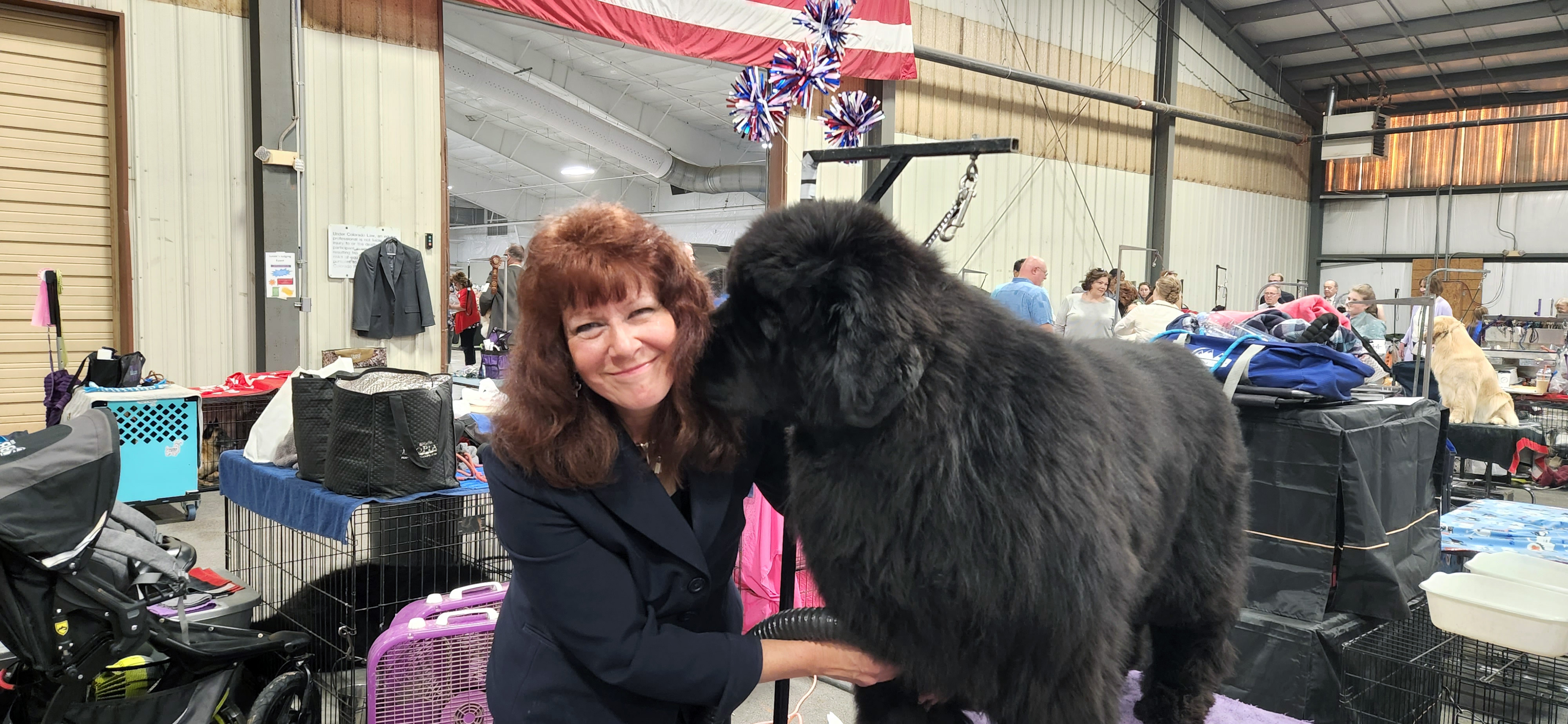 2022 Annual Show